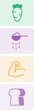 Illustrations représentant différentes catégories alimentaires : légumes, protéines, faible calorie, cholestérol, œufs, gluten et sucre.