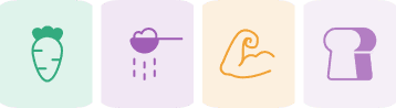 Illustrations représentant différentes catégories alimentaires : légumes, protéines, faible calorie, cholestérol, œufs, gluten et sucre.